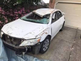 2010 Toyota Camry