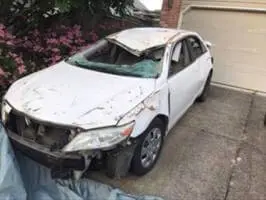 2010 Toyota Camry