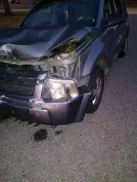 2005 Chevrolet Equinox