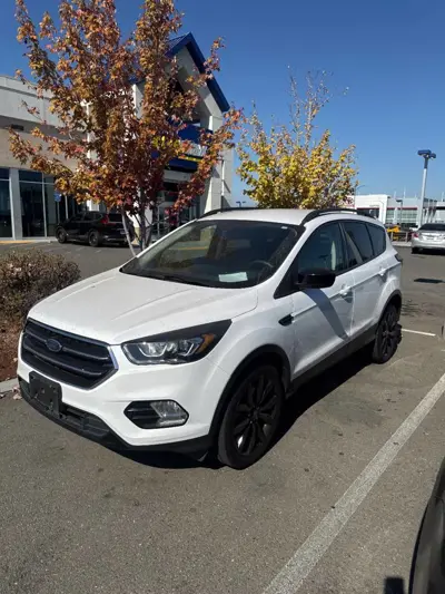 2019 Ford Escape